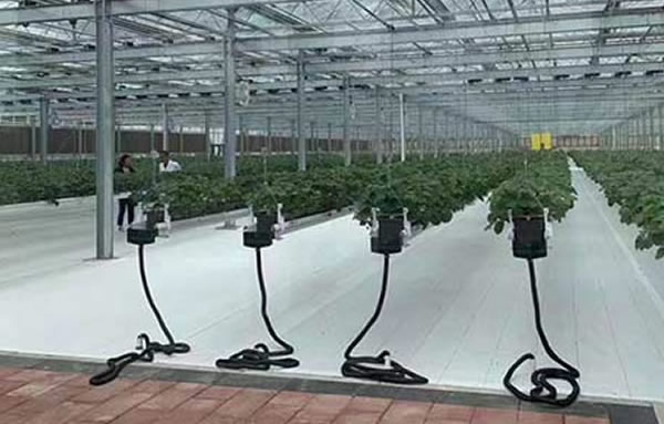 必发7790(中国区)电子集团-线上平台登录入口